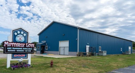 Dog day care in St Joseph Michigan Mutterly Love 1