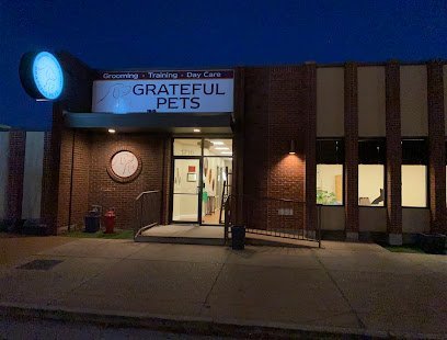 Dog day care in St. Louis Missouri Grateful Pets 1