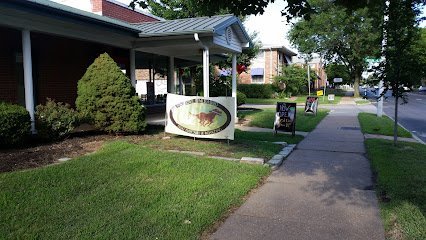 Dog day care in St. Louis Missouri Love Unleashed 1 1