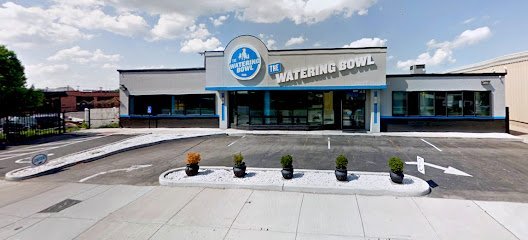 Dog day care in St. Louis Missouri The Watering Bowl 1