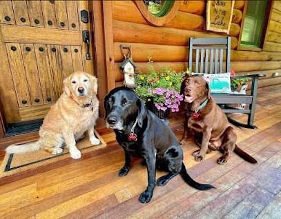 Dog day care in Stanhope New Jersey Mommy and Me Pet Sitters LLC 1