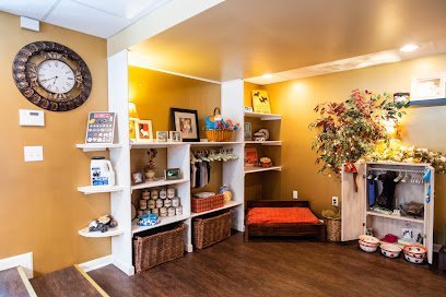 Dog day care in Stillwater New York Waggs and Woofs Doggy Daycare and Boarding 1