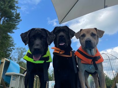 Dog day care in Stockbridge Massachusetts Camp Wagalot 1