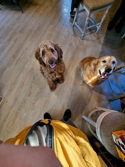 Dog day care in Stockholm New Jersey Sammy s Pet Care LLC 1