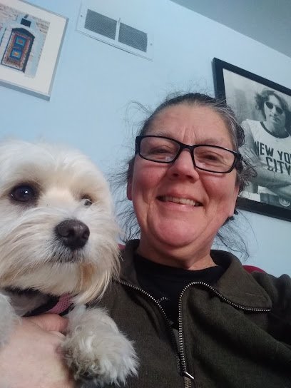 Dog day care in Stone Ridge New York Dawn s Dog Boarding Rondout Valley Pet Care 1