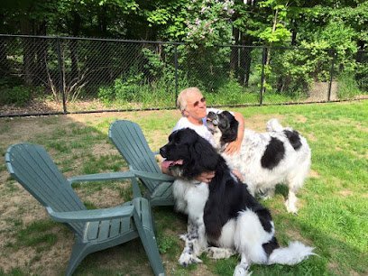 Dog day care in Stony Creek New York Maple Lawn Bed Biscuit LLC 1