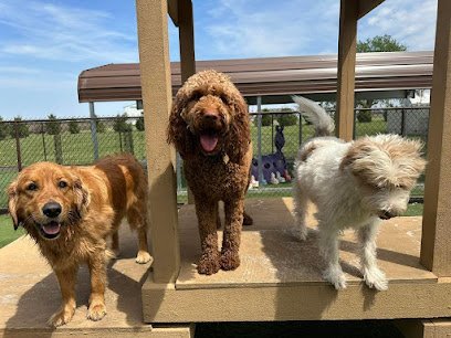 Dog day care in Streator Illinois Four Leaf K9 Boarding Daycare 1