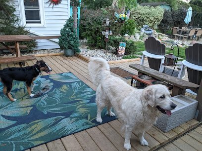 Dog day care in Streetsboro Ohio Pet State University HomeStyle Boarding 1