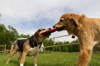 Dog day care in Strong Maine Bopp Farm Doggy Daycare Boarding 1