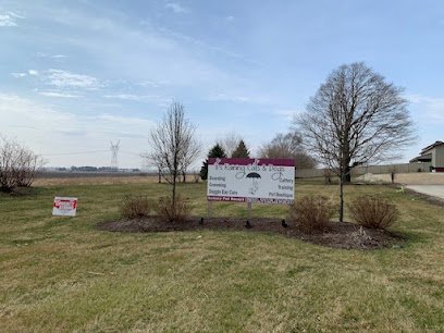 Dog day care in Sugar Grove Illinois It s Raining Cats Dogs Luxury Pet Resort 1