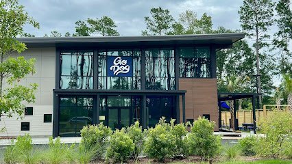 Dog day care in Summerville South Carolina GoDog Nexton 1