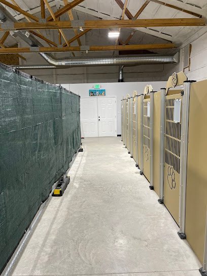 Dog day care in Sunriver Oregon Sunrover Dog Daycare 1