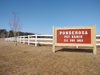 Dog day care in Swansboro North Carolina Ponderosa Pet Ranch 1