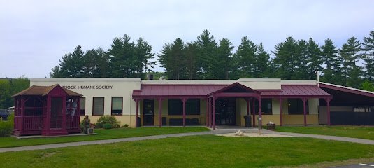 Dog day care in Swanzey New Hampshire Monadnock Humane Society 1