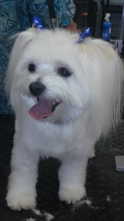 Dog day care in Swartz Creek Michigan Fourpaws Pet Grooming LLC 1