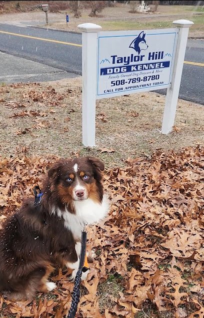 Dog day care in Taunton Massachusetts Taylor Hill Dog Kennel 1