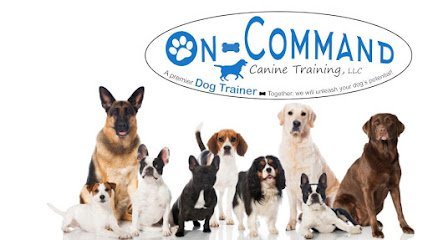 Dog day care in Telford Pennsylvania On Command Canine Training Doggy Daycare Boarding 1
