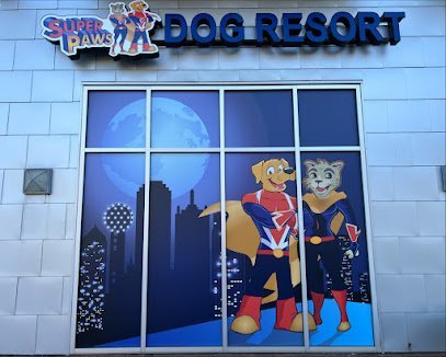 Dog day care in The Colony Texas Super Paws Dog Resort 1