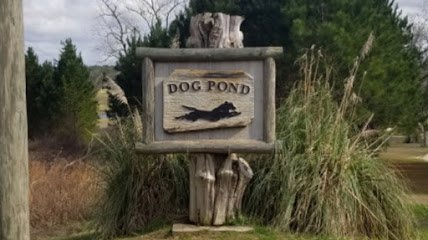 Dog day care in Thomasville Georgia Dog Pond Kennels LLC