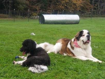 Dog day care in Thompson Pennsylvania Rolling Acres K 9 Retreat LLC 1