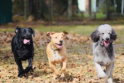 Dog day care in Tickfaw Louisiana Slobbering Sweeties Bed Biscuit 1