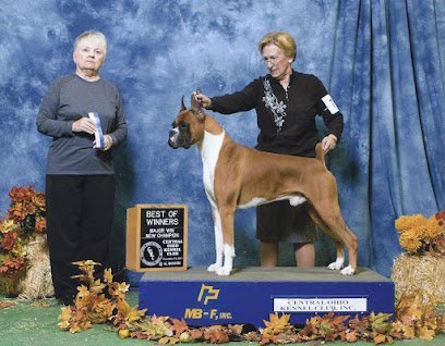 Dog day care in Tiffin Ohio Hopewell Boarding Kennel 1