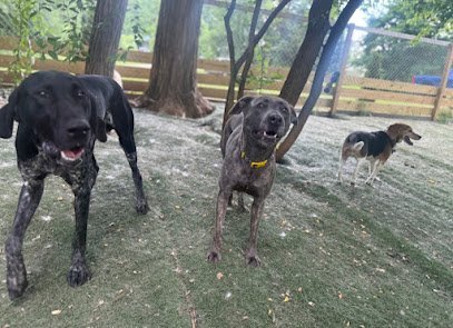 Dog day care in Tipp City Ohio Back To Eden Dog Boarding 1