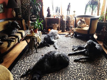 Dog day care in Toledo Oregon Olivia s Doggy Daycare Boarding 1