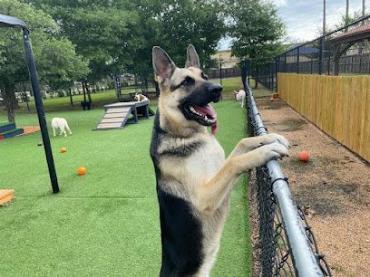 Dog day care in Tomball Texas Cypress Falls Pet Resort Spa 1