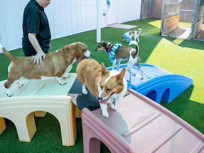 Dog day care in Tomball Texas Pooch s Boarding and Daycare 1