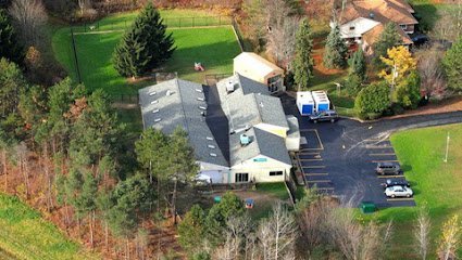 Dog day care in Tonawanda New York Creature Comforts Pet Resort 1