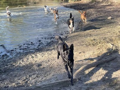 Dog day care in Topeka Kansas Dog Day Afternoon Inc 1