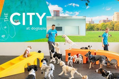 Dog day care in Towson Maryland Dogtopia of Towson 1