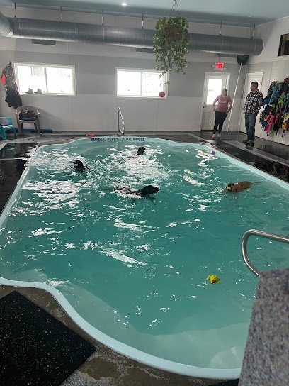 Dog day care in Trenton Michigan Bubble Puppy Swim Playhouse 1