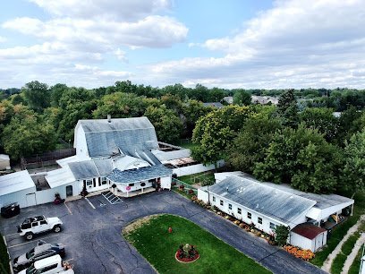 Dog day care in Troy Michigan Rexpointe Kennels 1