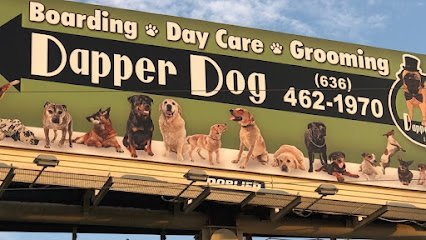 Dog day care in Troy Missouri Dapper Dog Pet Grooming 1