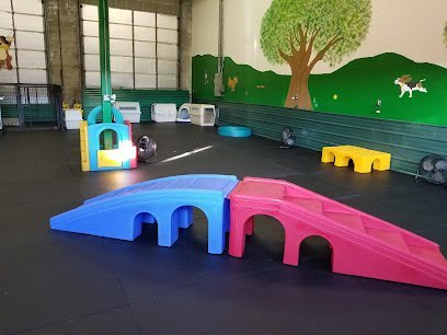 Dog day care in Tualatin Oregon Doggone Fun Doggy Daycare Center 1