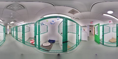 Dog day care in Tuckahoe New York Paws Play Pet Resort and Training Center 1