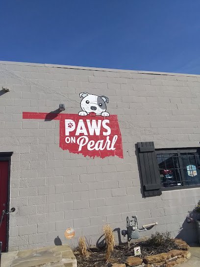 Dog day care in Tulsa Oklahoma Paws on Pearl 1