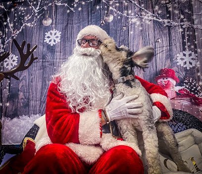 Dog day care in Tulsa Oklahoma Spirit Ranch Dog Training Inc 1