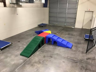 Dog day care in Tupelo Mississippi ACC Unleashed 1