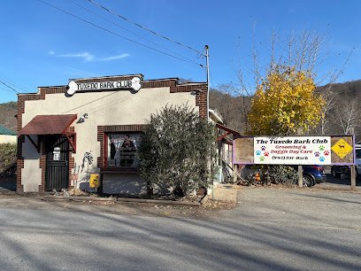 Dog day care in Tuxedo Park New York Tuxedo Bark Club 1