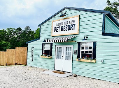 Dog day care in Tyler Texas Lavender Hill Farm Pet Resort 1