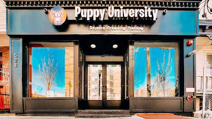 Dog day care in Union City New Jersey Puppy University 1