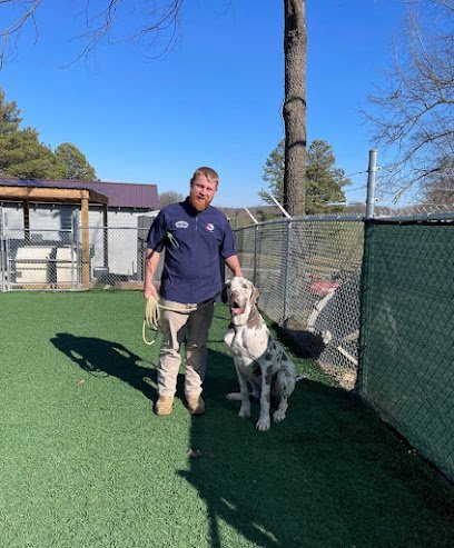 Dog day care in Utica Kentucky Camp Canine 1