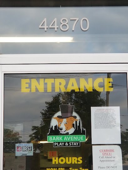 Dog day care in Utica Michigan Bark Avenue Play and Stay 1