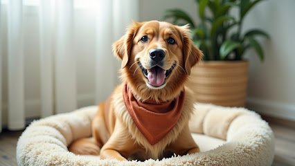 Dog day care in Utica Michigan Royal Paws Dog Daycare 1