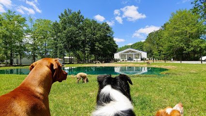 Dog day care in Valdosta Georgia Southern Hound Club