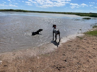 Dog day care in Vanderbilt Texas Lavaca River Ranch 1