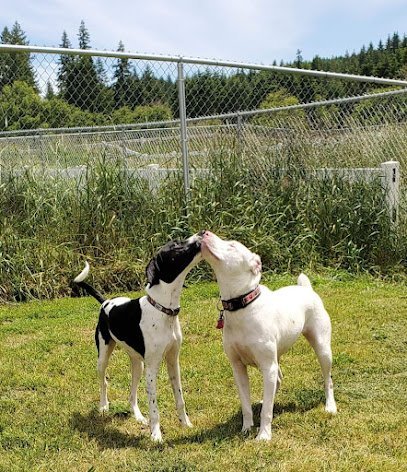 Dog day care in Vernonia Oregon Indigo Ranch 1
